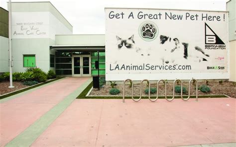 East valley shelter - Find pets for adoption at City of Los Angeles East Valley Animal Shelter, a public animal shelter in Van Nuys, CA. View animals by type, gender, age, size, and color. Learn about the adoption policy and get a coupon for discounted fees. 
